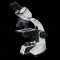 Axl Binocular Compound Microscope With Halogen Illumination System