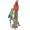Two Ceramic Parrot Home Decoration Show Piece - Red/blue