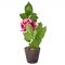 Artificial Potted Plants For Home Dcor - White/pink