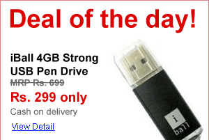 iBall 4GB Strong USB Pen Drive
