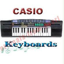 casio sa21