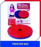 5 In 1 Twister Slimmer Home Based Used