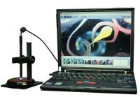 200x Portable Mini USB Digital Microscope B005+