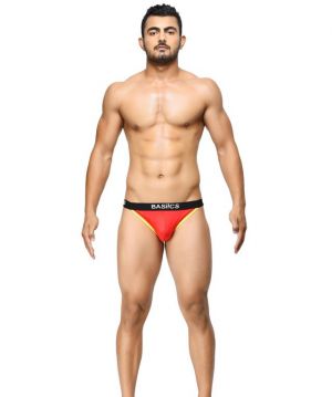 Buy BASIICS - Thigh High Red briefs online