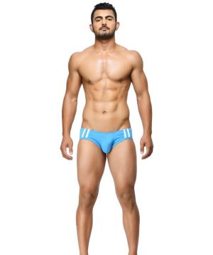 Buy BASIICS - Striped and Solid Fashion Blue briefs online