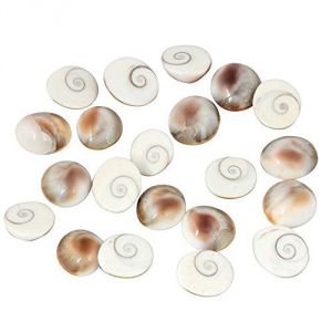 Buy Gomti Chakra 21 Pieces online