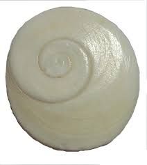 Buy Mantra Siddha Very Rare Gomati Chakra Big Size Weight 10 Gram Gomti Chakra online