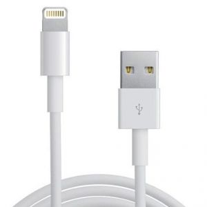 Buy Lightning To USB Data Cable For iPhone 5 / iPod Touch 5 / Nano 7 / Ipad Min online