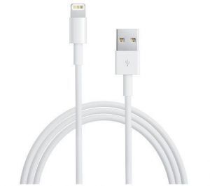 Buy Original USB Data Sync & Charger Cable 8 Pin For iPhone 5 / Ipad Mini / iPod Touch 5 online