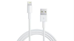 Buy Lightning USB Cable For Apple iPhone Ipad iPod online