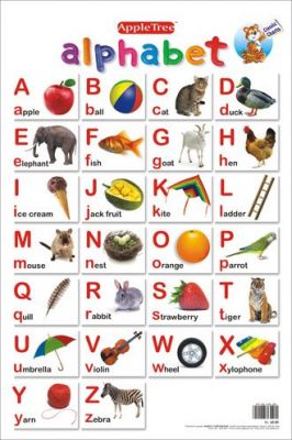 Buy Apple Tree Alphabets Preschool Charts 1 13 5 Inch 19 5 Inch Wall Chart Online Best Prices In India Rediff Shopping