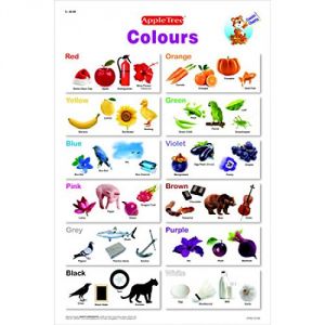 Colours Chart For Preschool