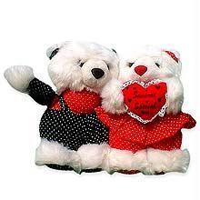 couple teddy bear online shopping