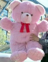 Buy Life Size Teddy Bear Pink Colour 6 Feet Approx online