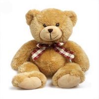 Buy Teddy Bear Xxxl online