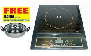 Buy Skyline Induction Cooker With Steel Kadai Vi - 9052 online