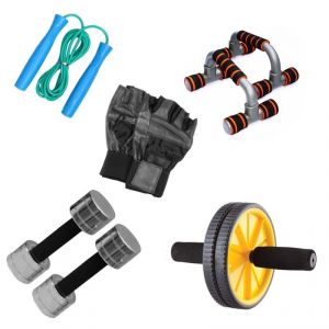 Buy Livestrong Fitness Kit Steel Dumbells 2 Kg Each Ab Wheel Dip Stand Push Up Bar online