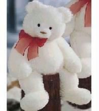 Buy Cuddly Teddy Bear - 45 Inches online