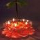 Sai Aarti Deepak ( Rotating Feng Shui Diyas )