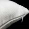 Digital Print Canvas Cushion Cover 16 Inches Set of 4 By Admire Home