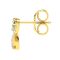 Avsar Real Gold Tanavi Earring (code - Ave365yb)