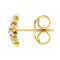 Avsar 14 (585) Swati Earring (code - Ave446yb)