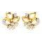Avsar 18 (750) Yellow Gold And Diamond Akshta Earring (code - Ave469ya)