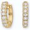 Avsar Real Gold And Cubic Zirconia Chitra Earring ( Code - Boe019n )