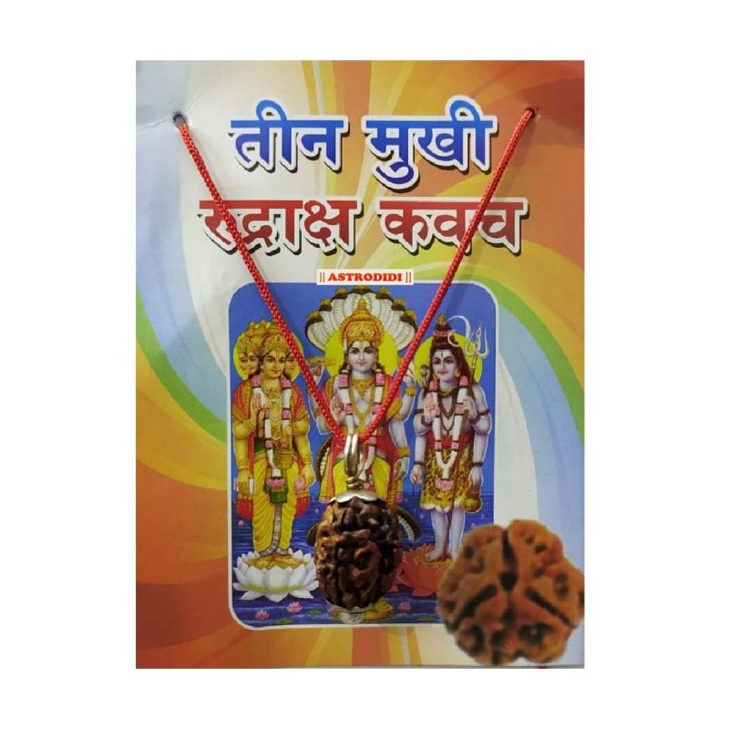 Buy 3 Mukhi Rudraksha Kavach online