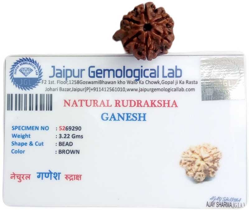 Buy Ganesh Rudraksha Lab Certificate online