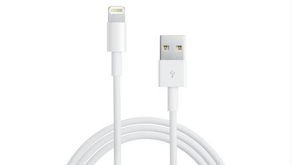Buy Lightning USB Cable For Apple iPhone Ipad iPod online