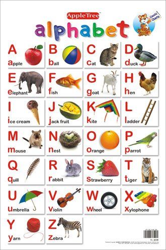 Buy Apple Tree Alphabets Preschool Charts 1 13 5 Inch 19 5 Inch Wall Chart Online Best Prices In India Rediff Shopping