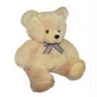 Buy Kool Teddy Bear 28 Inches online