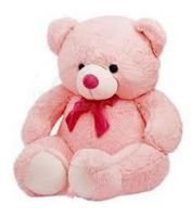 Buy Pink Teddy Bear Big Full Size Huggable 5ft Soft Toy online