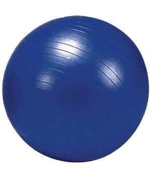 Buy 75 Cms Gym Ball With Foot Pump online
