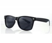 Buy Classic Black Wayfarer Sunglasses With Hard Case online